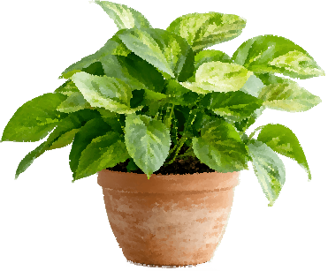 plant - click to water